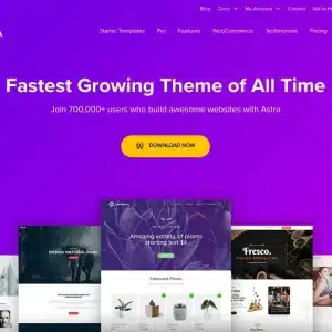 Astra WordPress Theme