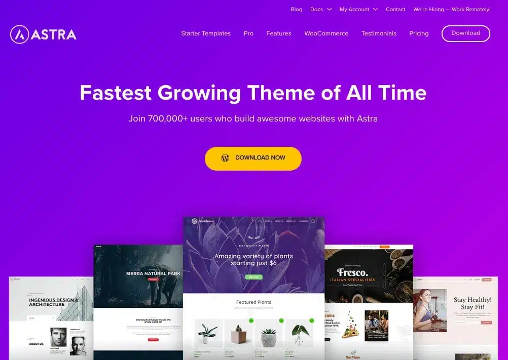 Astra WordPress Theme